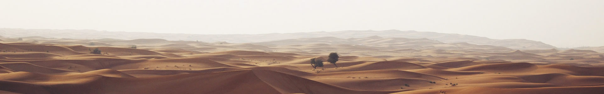 ɭʻƼ޹˾